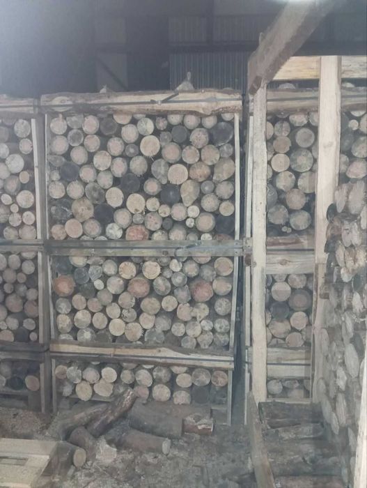 Дрова соснові порізані