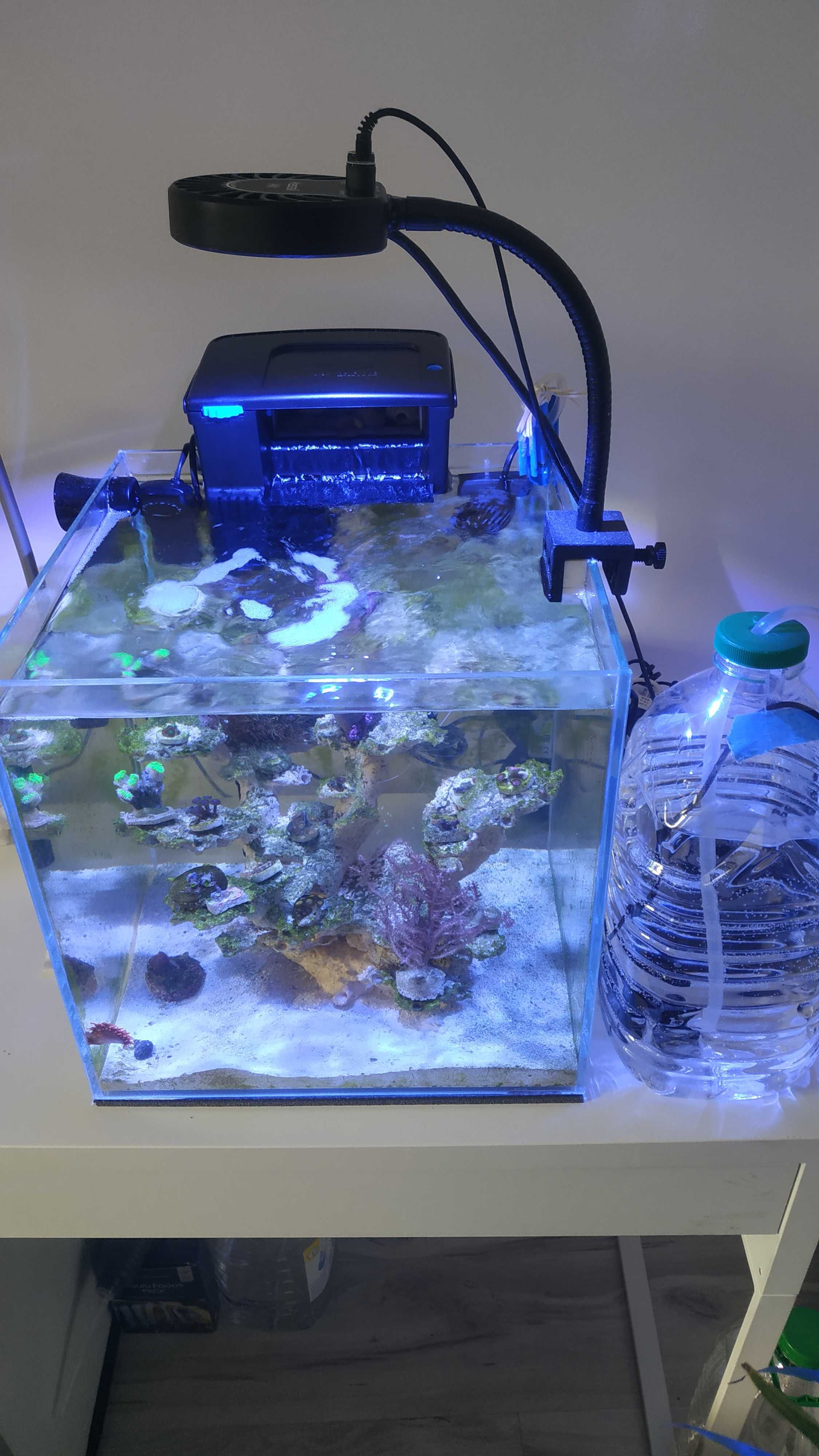 Nano akwarium morskie 35x35cm objętość 49l