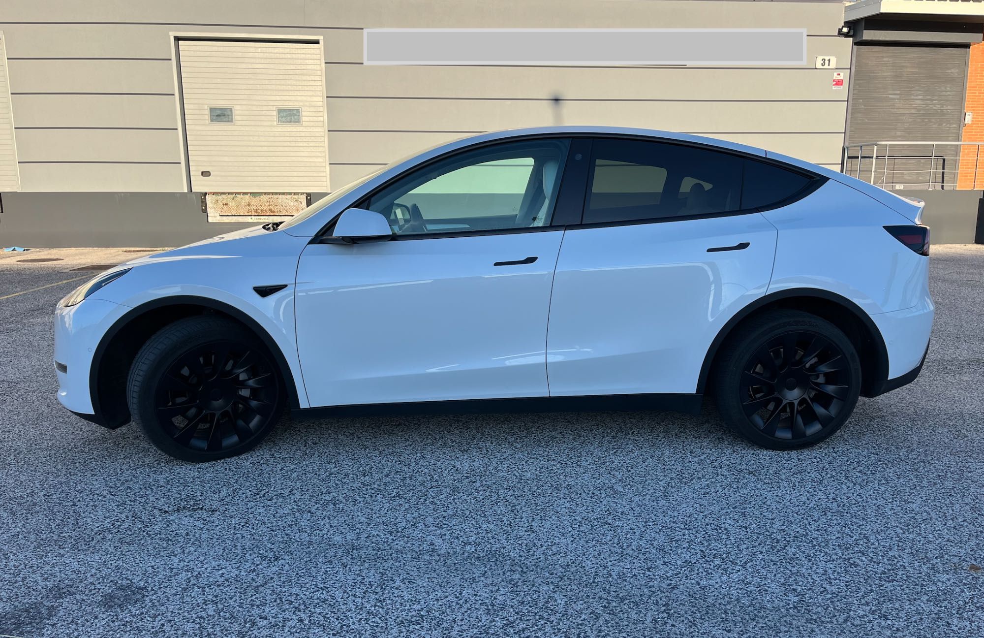 TESLA Model Y Dual Motor Nacional