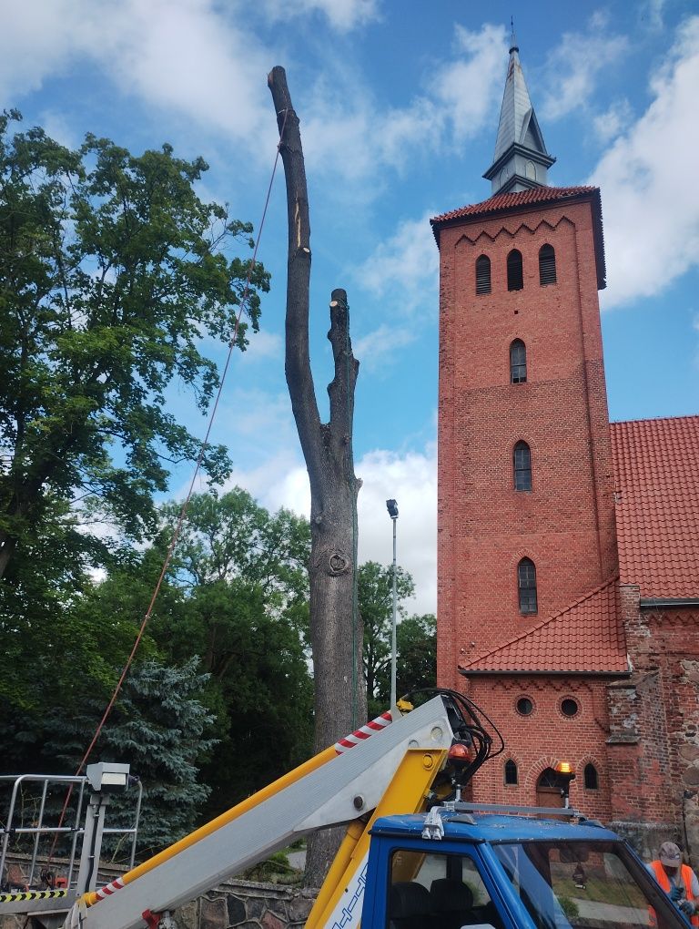 Wertykulacja,wycinka drzew,wynajem podnośnika koszowego, koszenie traw