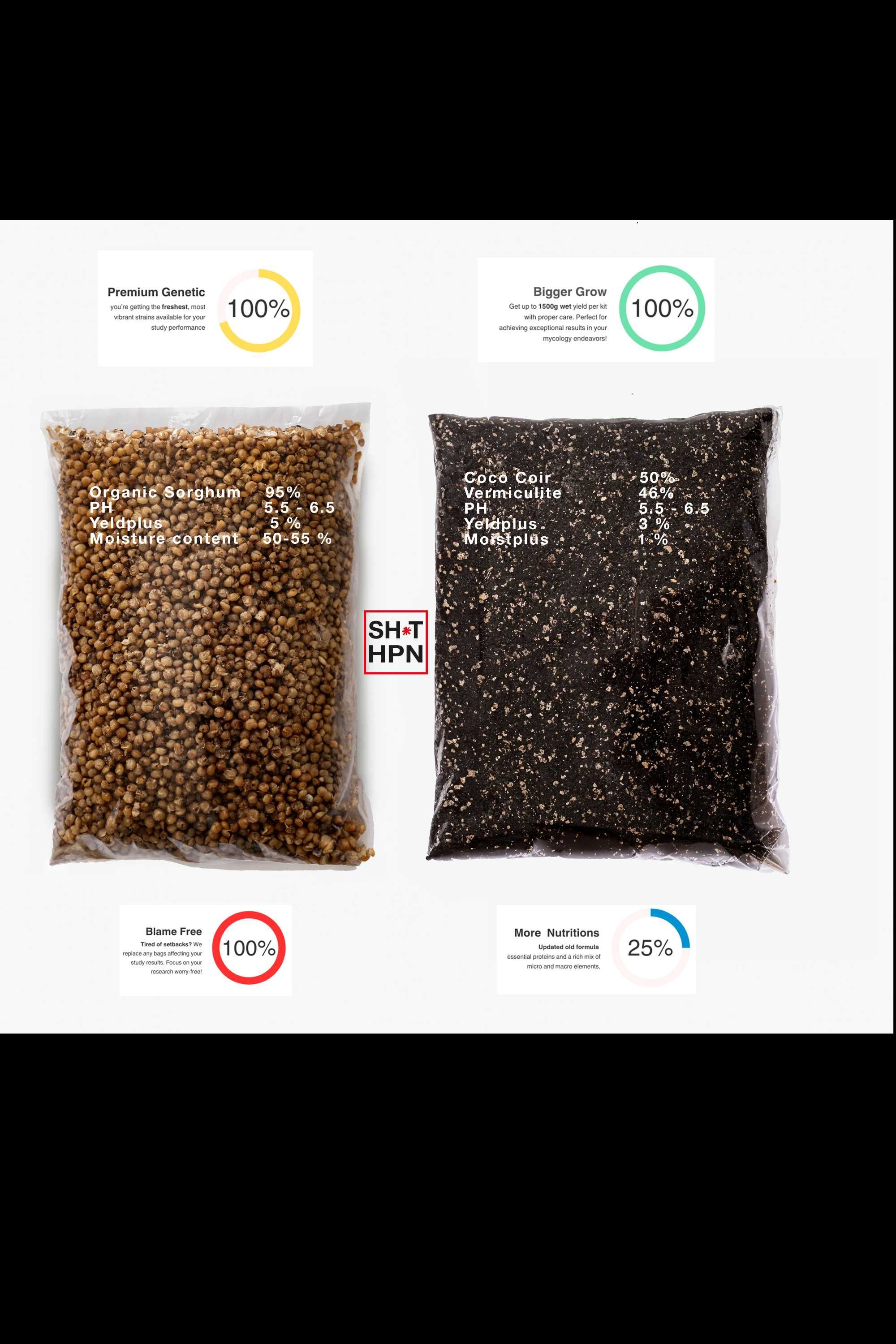 Ziarno do uprawy grzybów XXL 1kg/2.4 l I Grow Kity I Płynne kultury