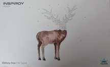Графический планшет Huion