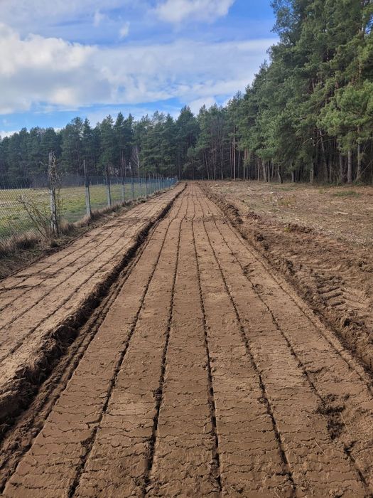 Wycinka drzew, niebezpieczne, rekultywacja, wyrywanie karp, Mulczowani