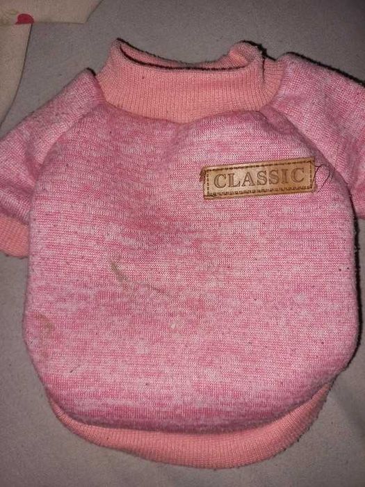 Camisola para cão pequeno