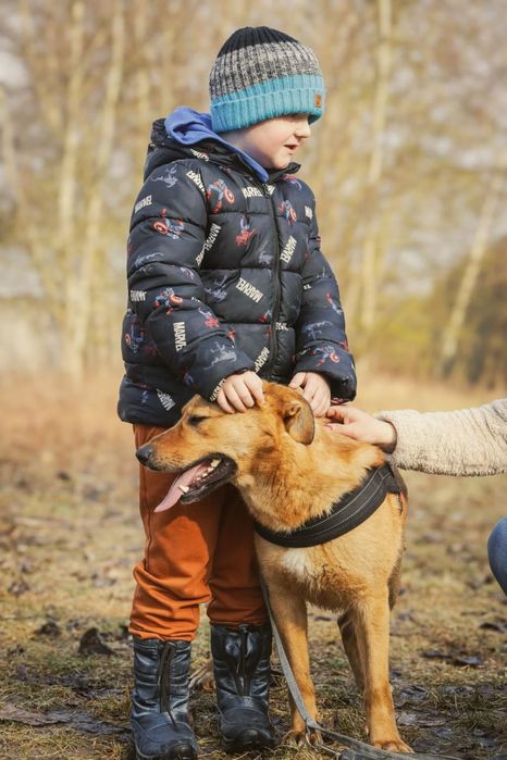 Tokyo energiczna łagodna suczka młoda szuka domu