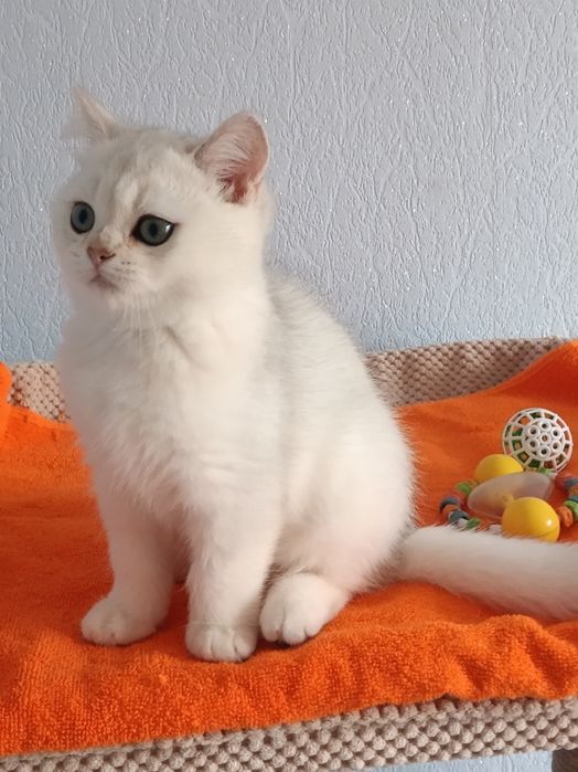 Дуже ласкавий малюк чекає мамочку