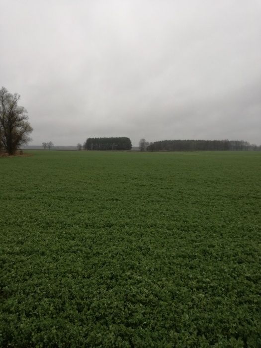 Lucerna DSV PLANET 2060