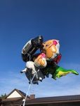Balony bajkowe z helem