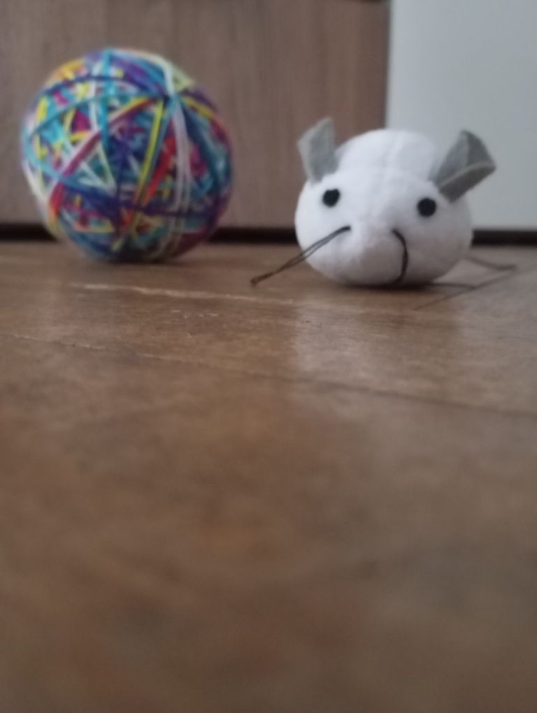 Brinquedos para animais