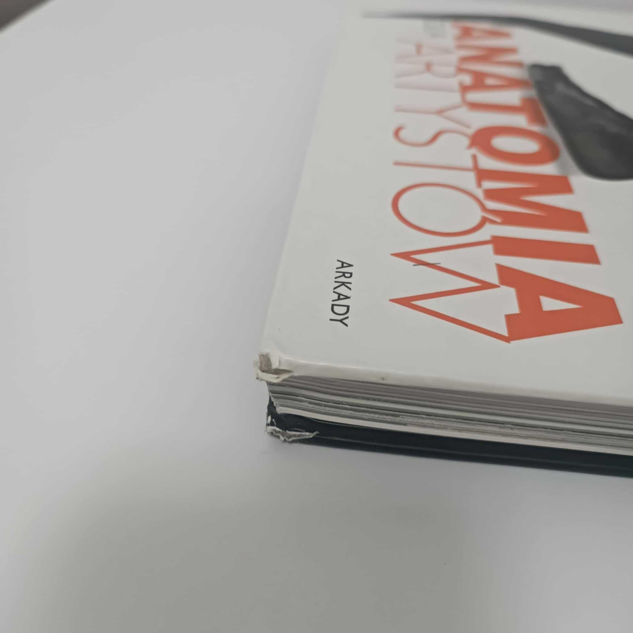 Anatomia dla artystów Simblet UNIKAT