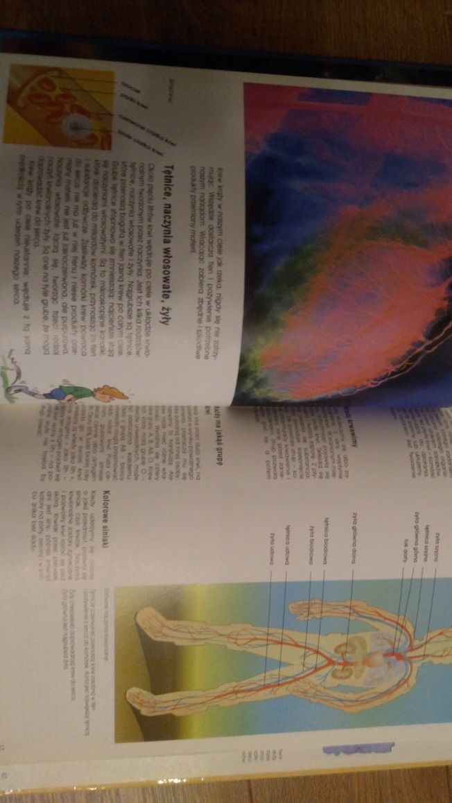 Encyklopedia bez granic. Ciało i życie