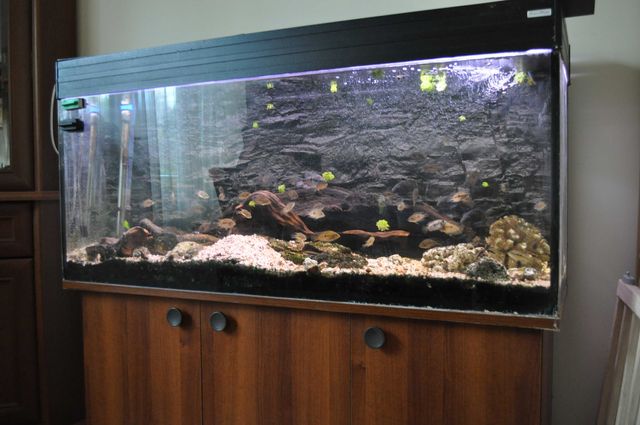 Akwarium Aqua Boro, belka oświetleniowa 2x led, pokrywa, 120x40x50