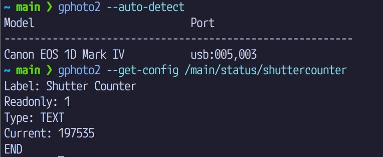 Камера Canon EOS 1D Mark IV