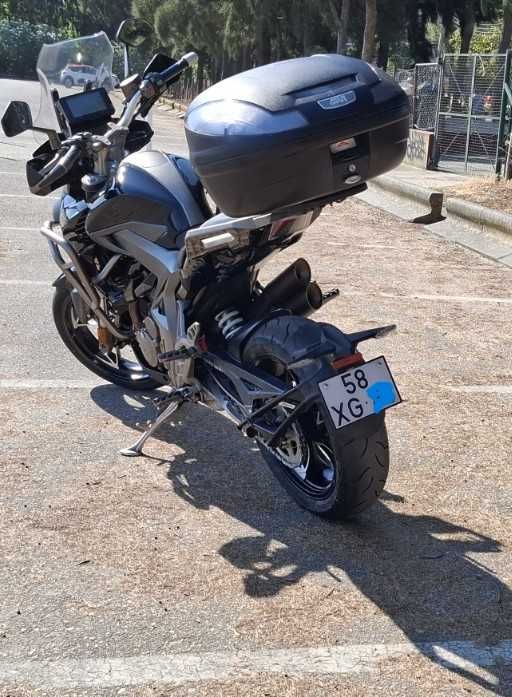ZONTES 310T 2019