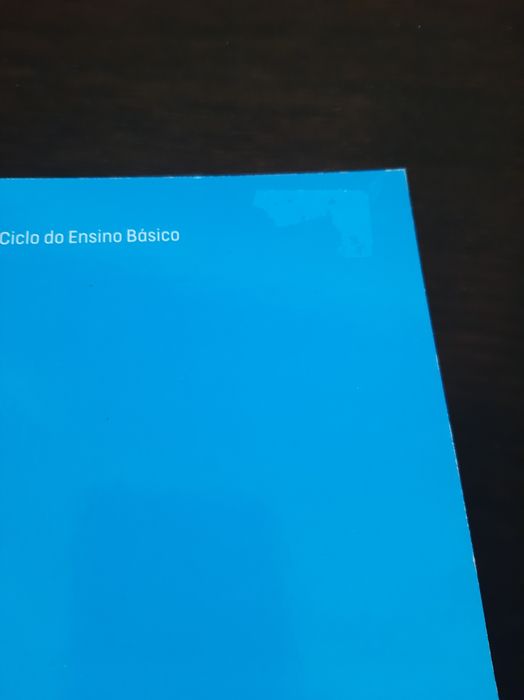 Caderno de Actividades de História 9 ano, Raiz editora