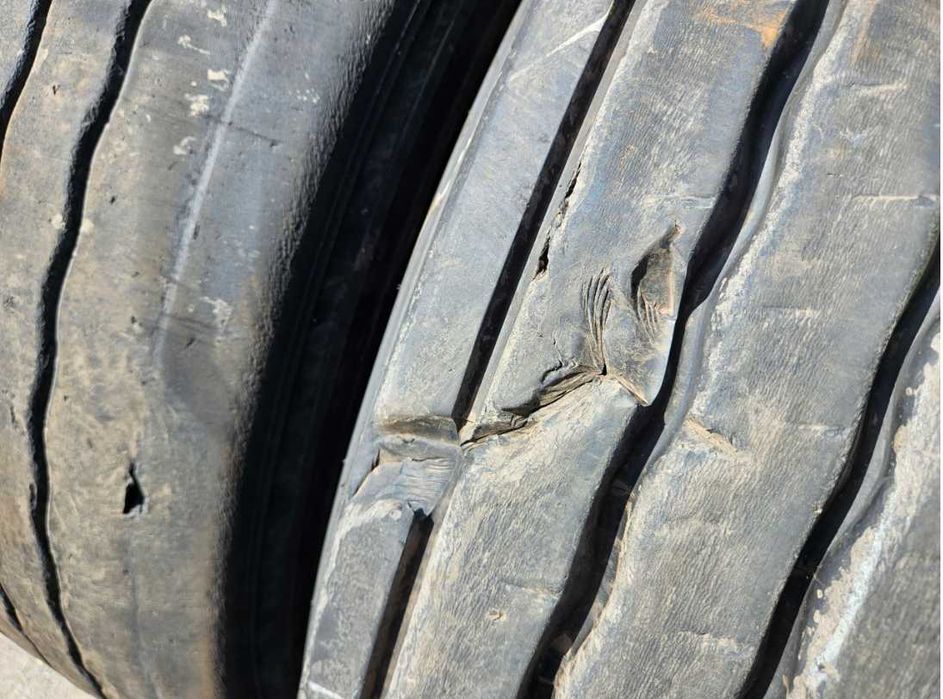 Opony Trazano 445/45 - R 19,5 19.5 Para Trans 445/45r19.5 T43 Opona