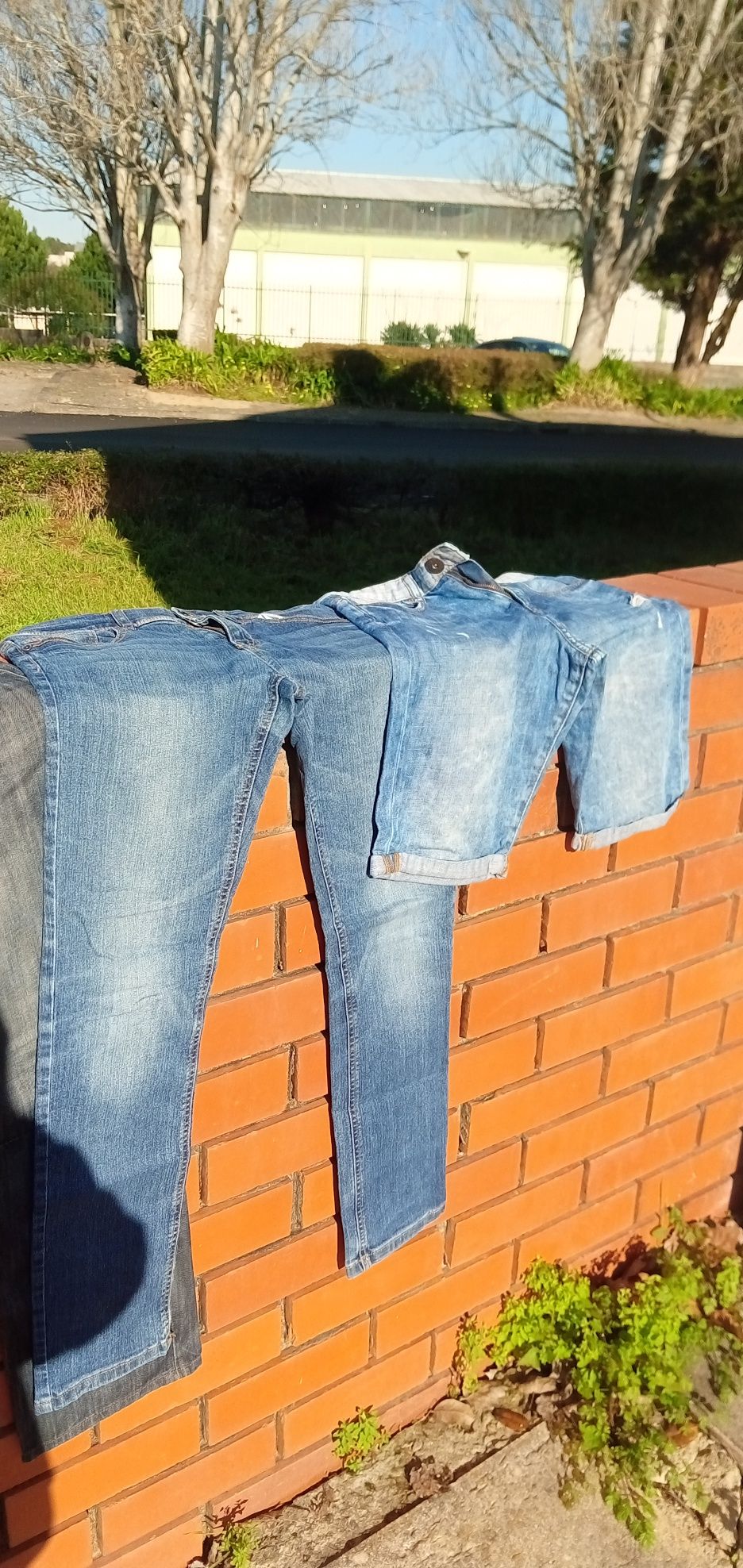 Calças ganga lote 5