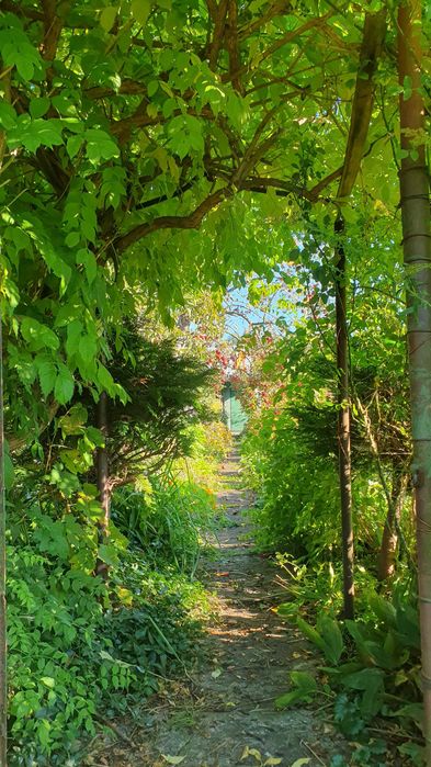 Urządzona działka ROD z altaną