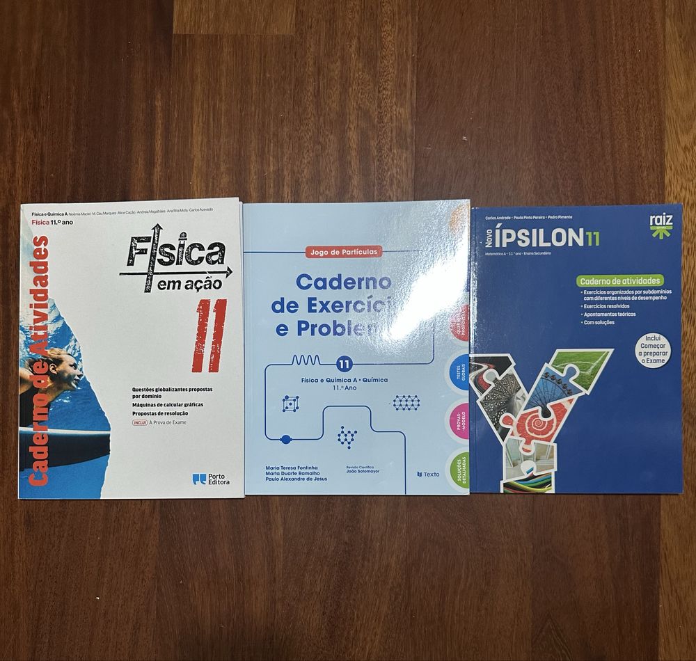 Caderno Fichas 11° ano