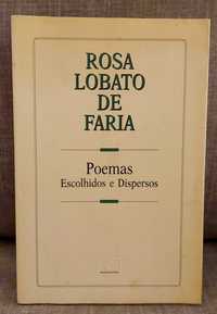 Poemas escolhidos e dispersos, Rosa Lobato de Faria