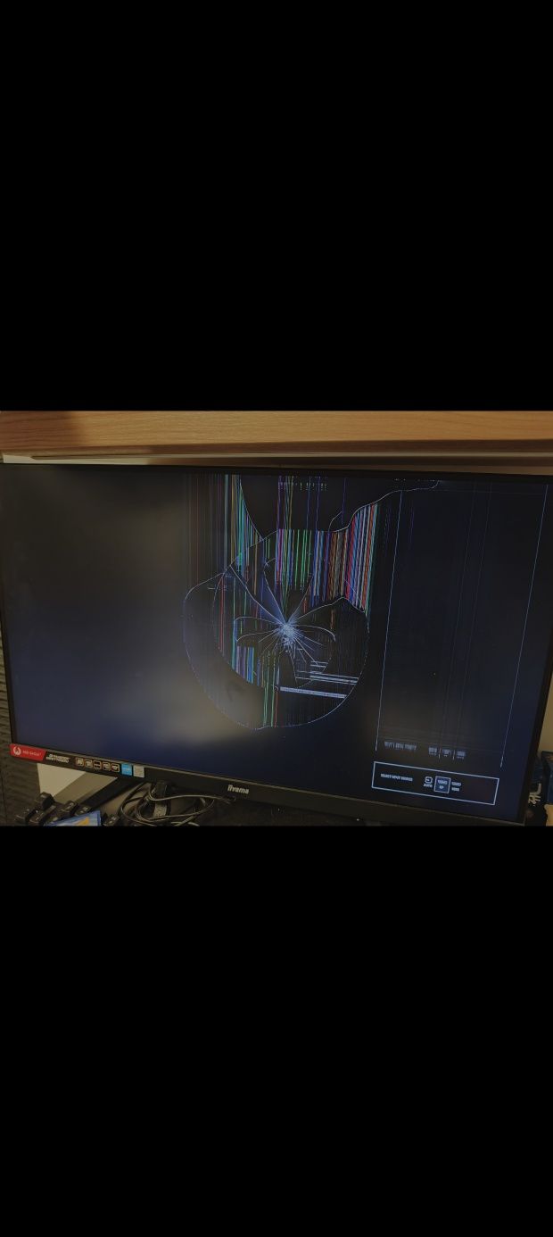 Monitor iiyama G-Master Red Eagle GB2770QSU-B6 27" popsuta matryca