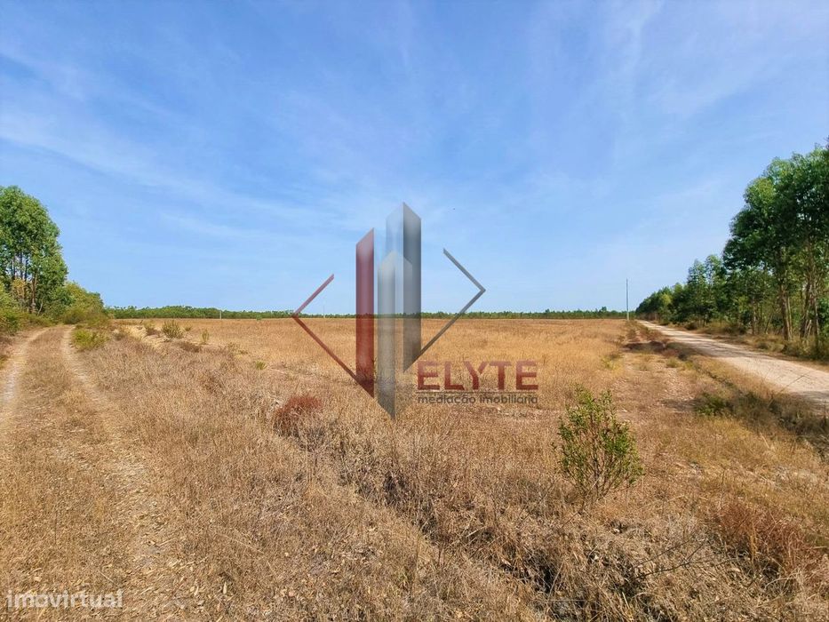 Terreno em Gloria do Ribatejo com 13ha