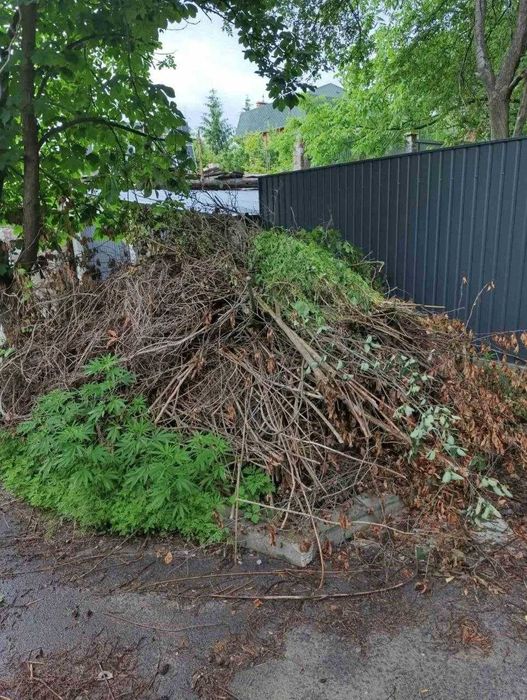 Вивіз сміття, хламу, листя, буд сміття ШВИДКО. Вывоз мусора, листья