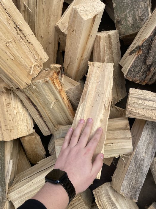 Тополь колатий дрова доставка