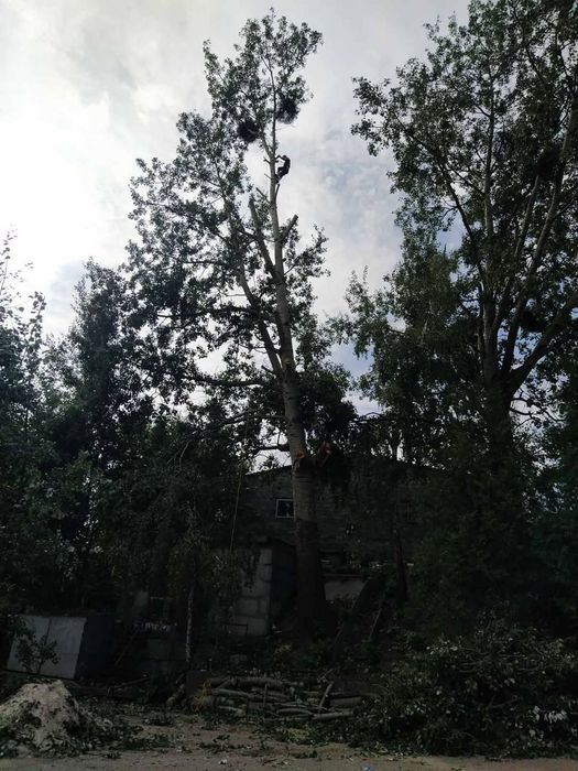 "ОБРІЗКА ДЕРЕВ"
*Зрізання аварійних дерев
*Обрізка сухих та гнилих гіл