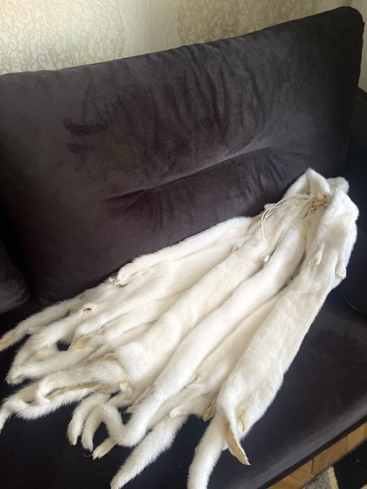 Хутро норки  для пошиву 17 шт