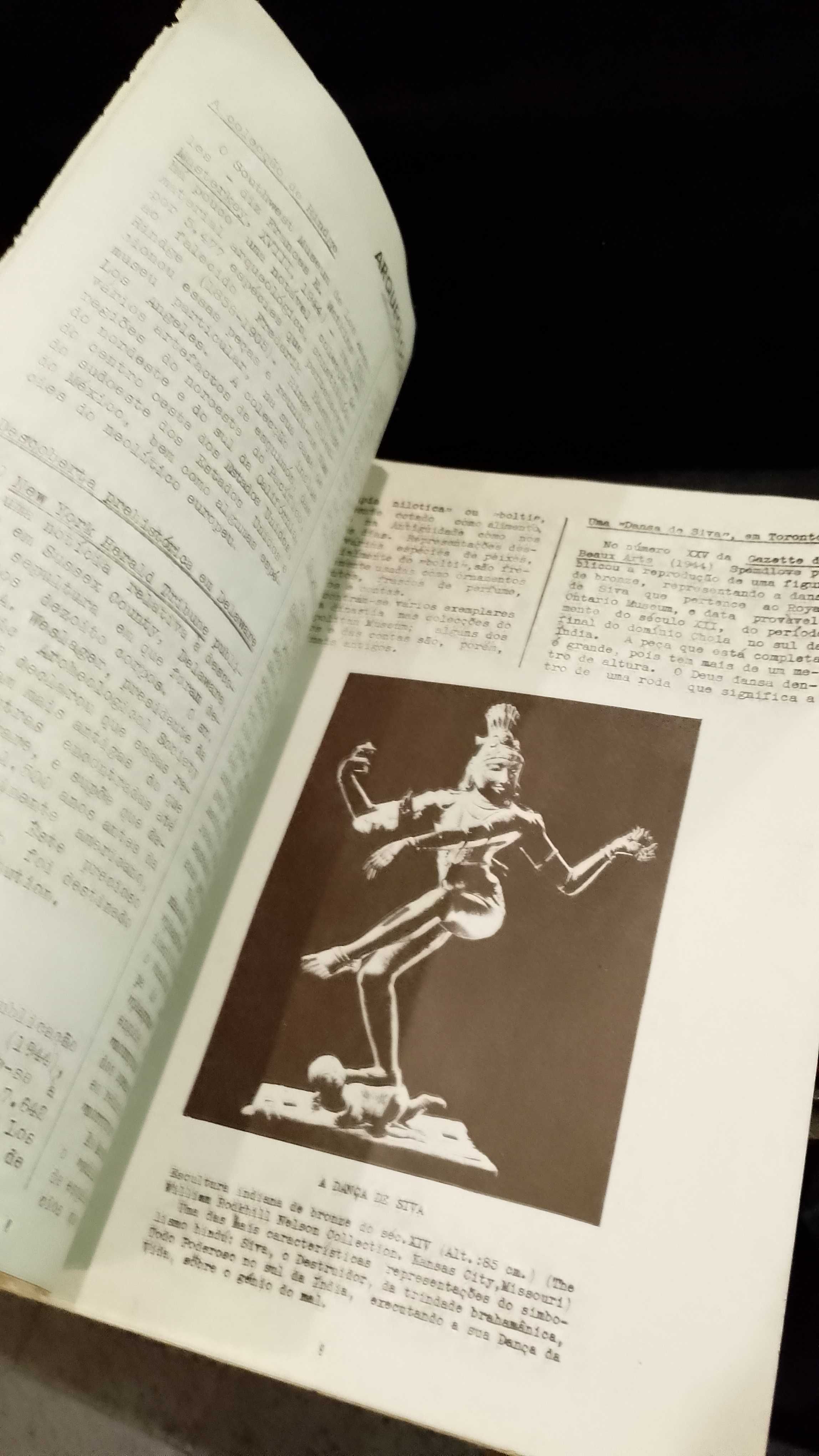 Noticiário de Arte e Arqueologia na América do Norte