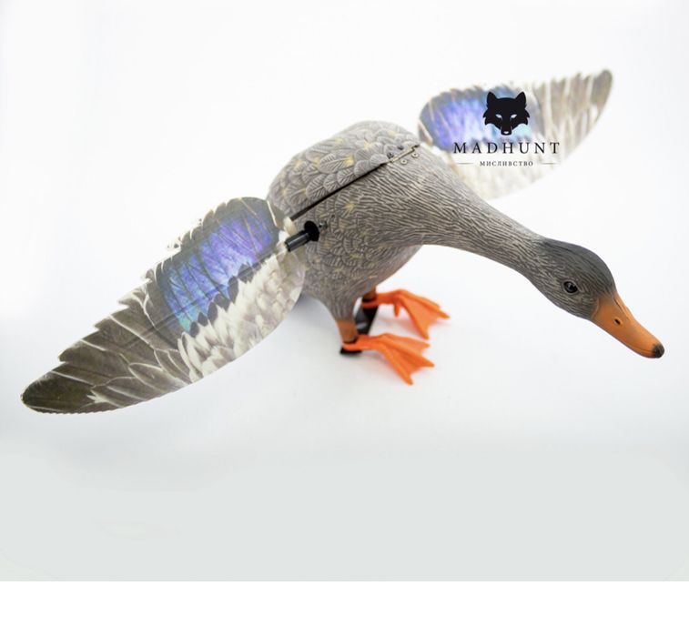 Махокрыл утки . Летящая утка . Электрическая утка