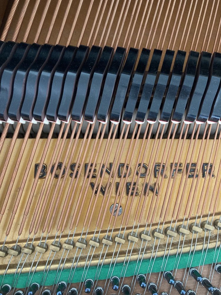 Piano de Cauda Bosendorfer