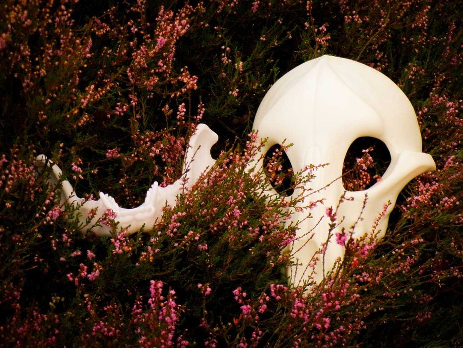 Maska skull dog na twarz skeleton K9 fursuit furry