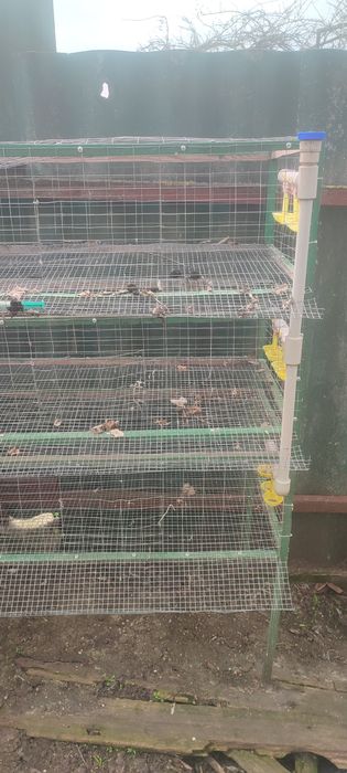 Продам клетки для птици