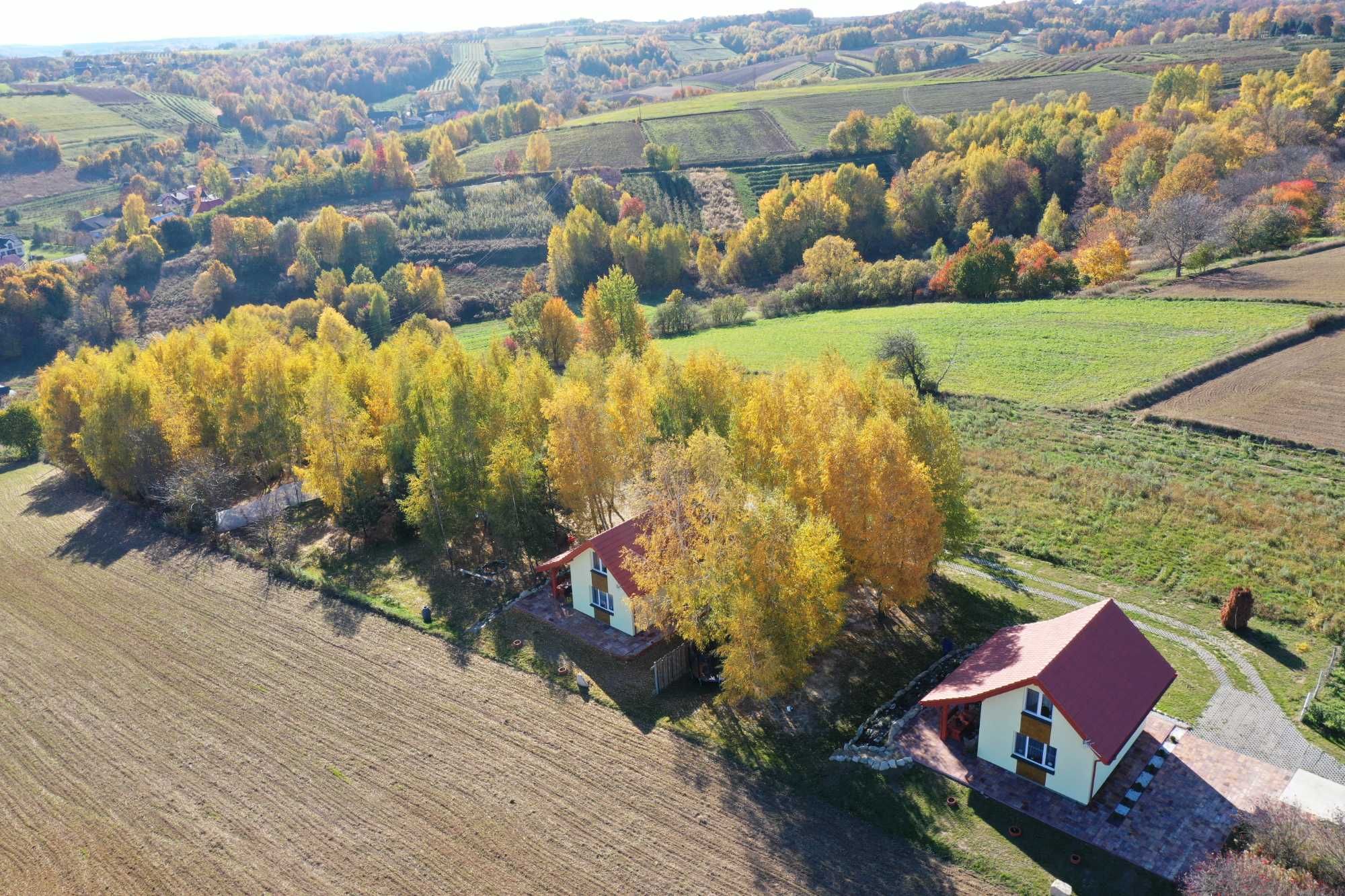 Domki na brzozowym wzgórzu