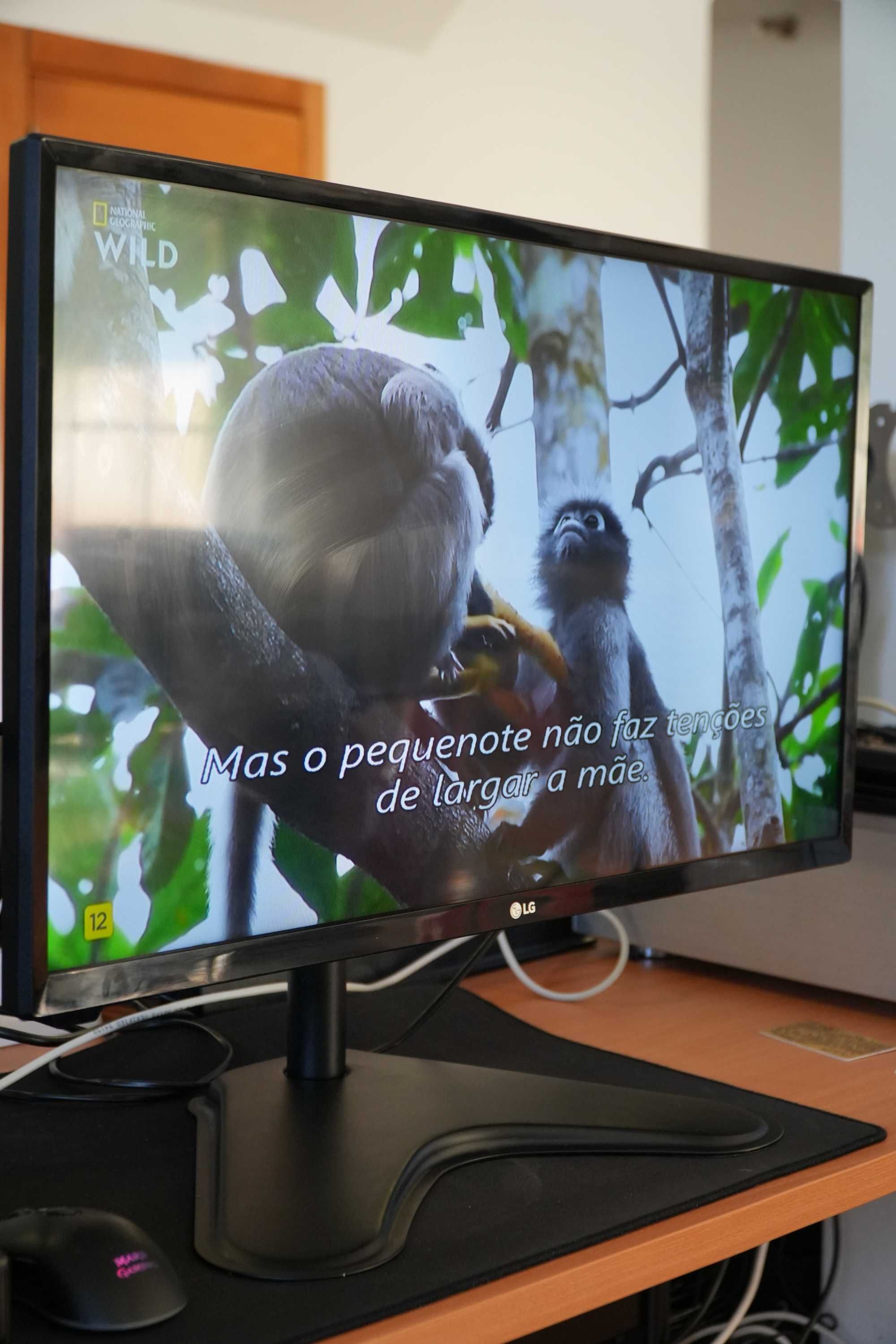 Televisão LG - LED HD Ready - 28MT48DF-PZ