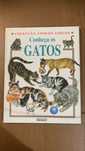 Conheça os gatos - girassol