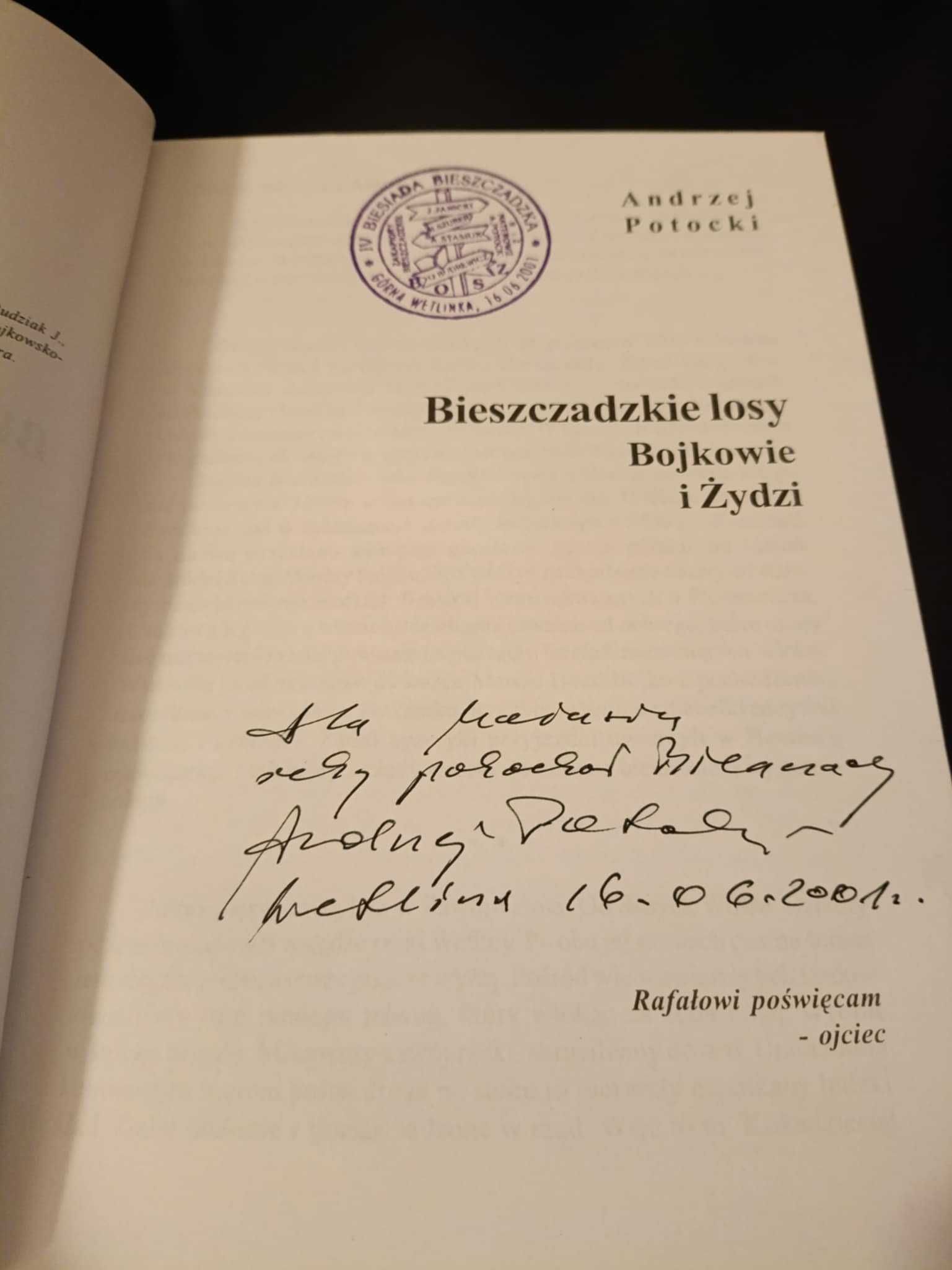 Bieszczadzkie losy - Andrzej Potocki