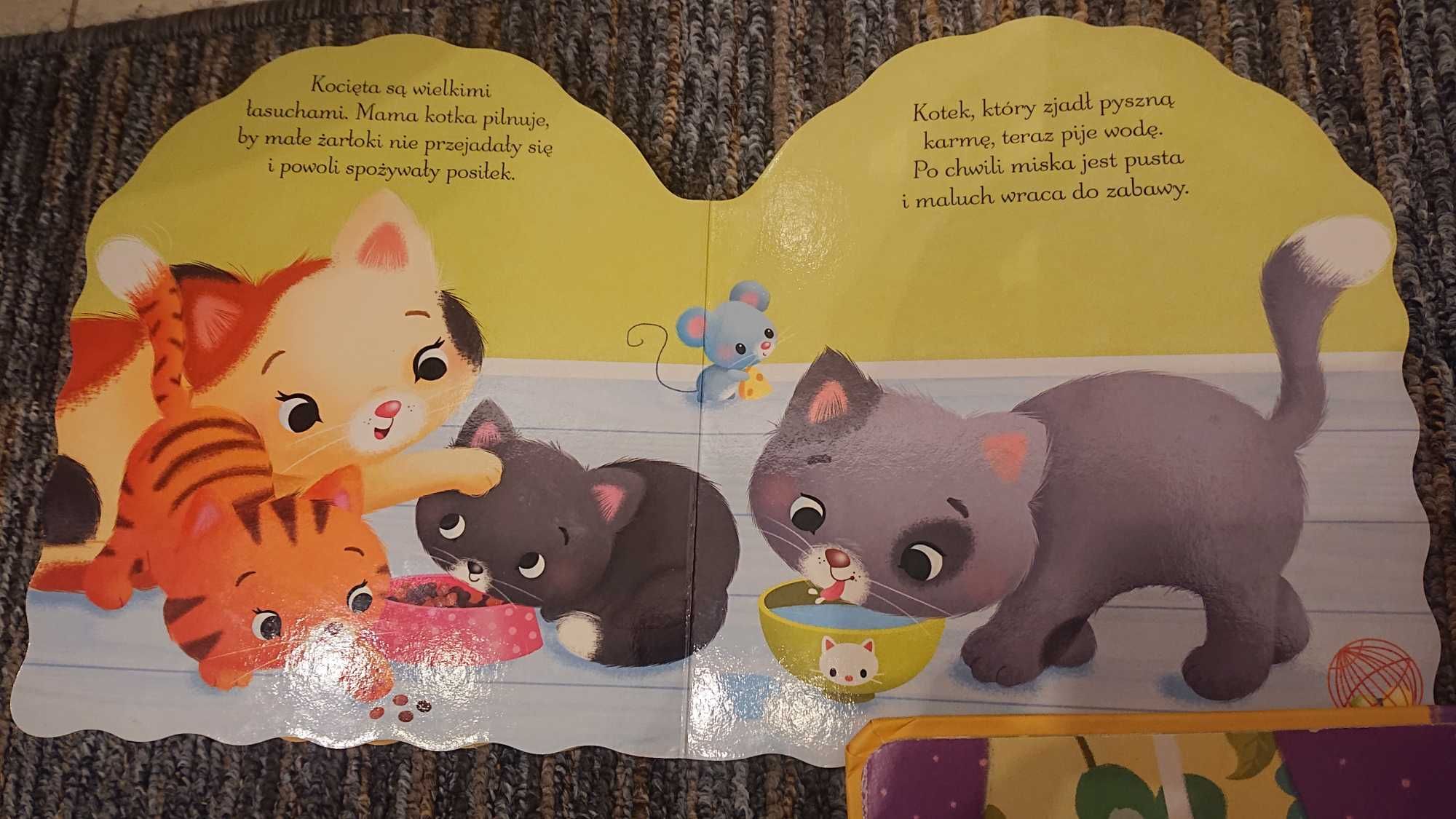 3 x książeczka o kotach / chory kotek