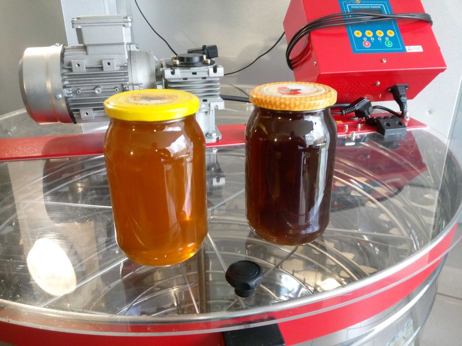 Miód gryczany i wielokwiatowy wiosenny