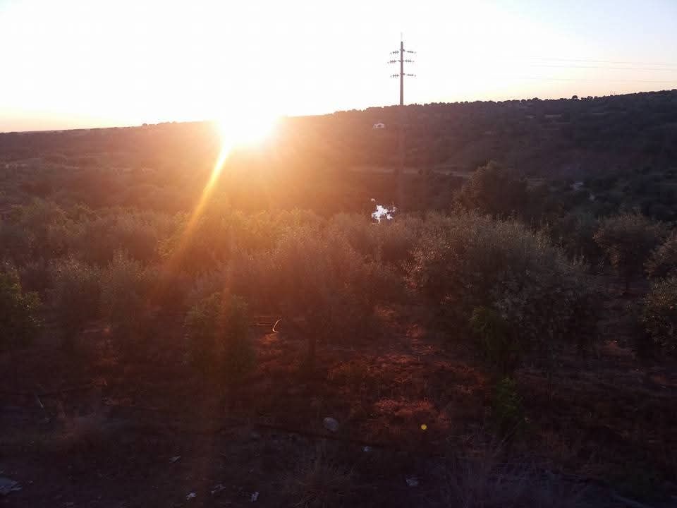 Terreno com 5.3 hectares