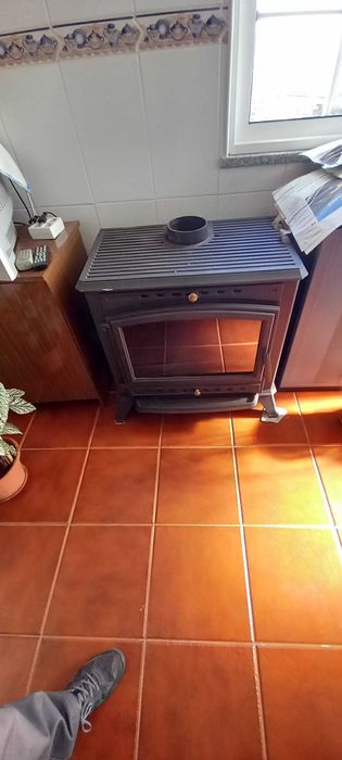 Salamandra em ferro fundido