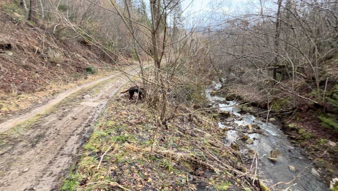 Продам ділянку в Яремче