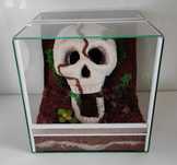 Terrarium dla pająka, ptasznika, TW12Cz, AquaWaves