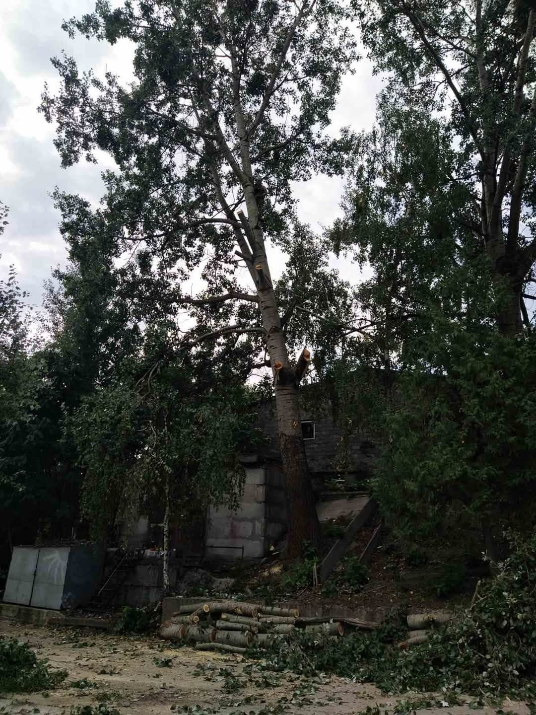 "ОБРІЗКА ДЕРЕВ"
*Зрізання аварійних дерев
*Обрізка сухих та гнилих гіл