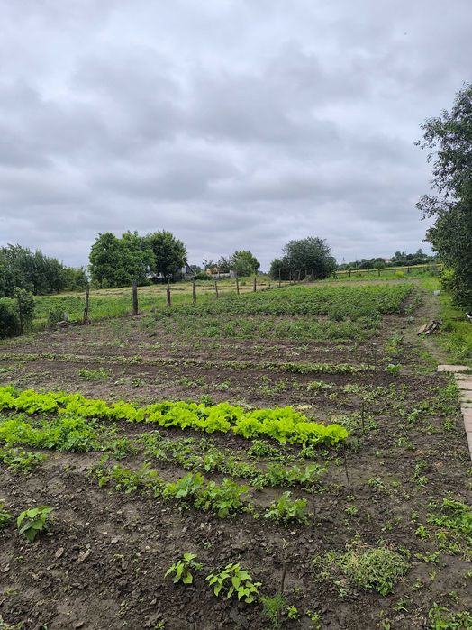 Житловий будинок 100 м.кв.