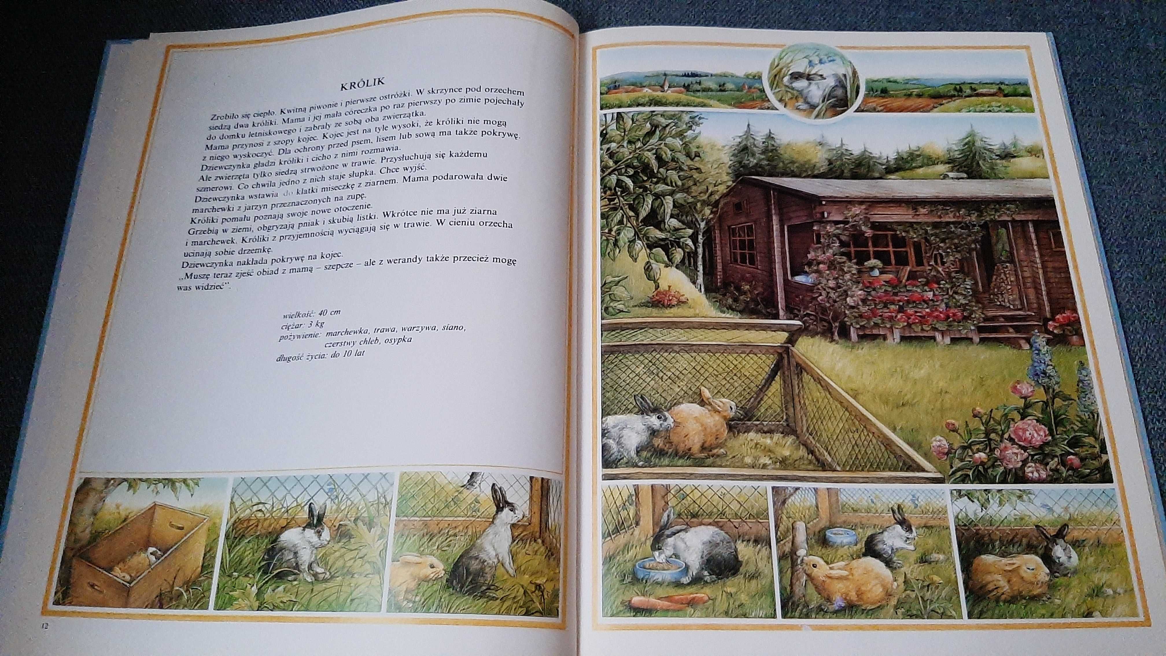 Susanne Riha Spotkania ze zwierzęta wiejskie domowe egzotyczne