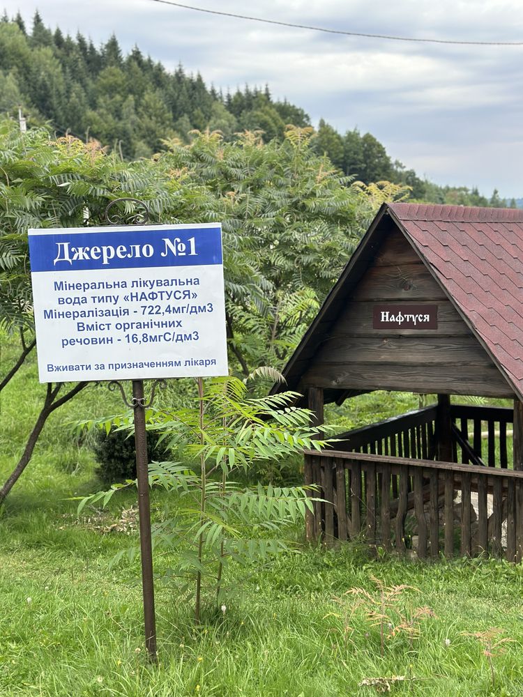 Котеджі біля лісу з басейном та чаном-джакузі