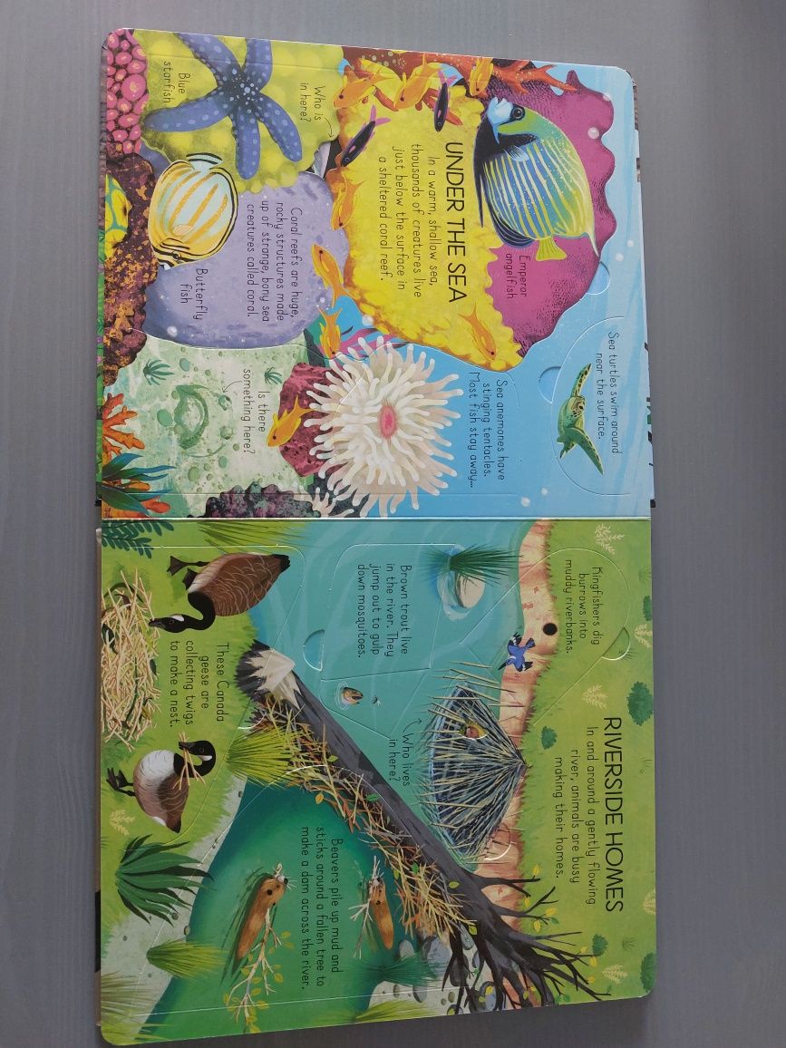 Usborne Look inside Animal Homes